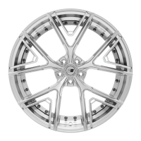Sixnine V-ONE INLAY | Hyper Silber | 21 Zoll