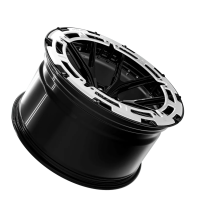 Sixnine AeroRing | FF-ONE | 21 Zoll | Hyper Silber